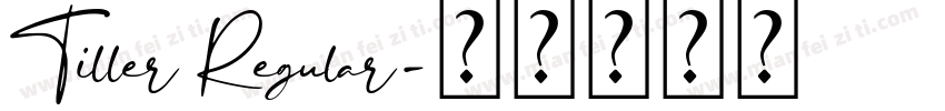 Tiller Regular字体转换
